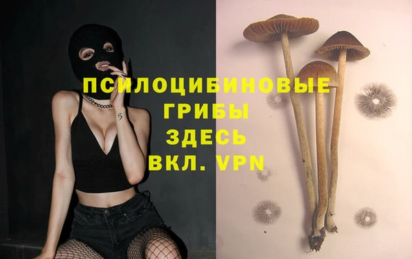 крисы Балахна
