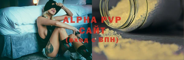 ECSTASY Богданович
