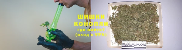 крисы Балахна
