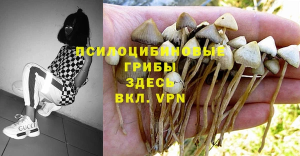 кристаллы Богородицк