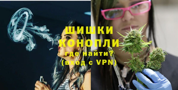 ECSTASY Богданович