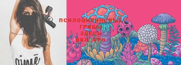 ECSTASY Богданович