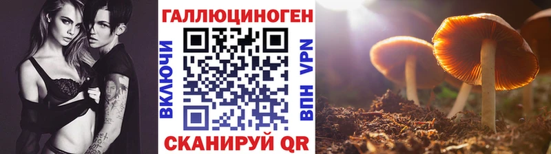 Галлюциногенные грибы прущие грибы  дарнет шоп  Реутов 